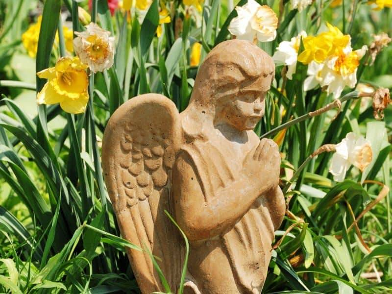 Sacred Garden