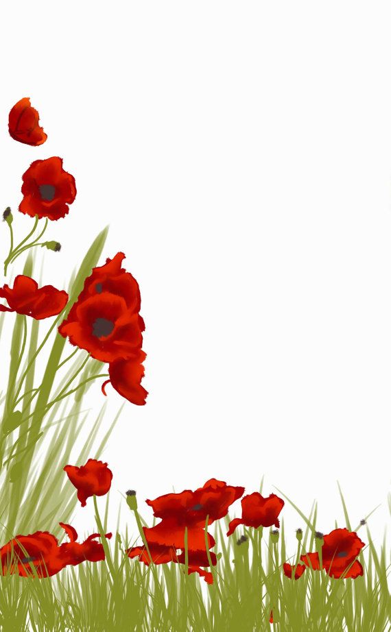 An Eyecacher Outdoor Flowers