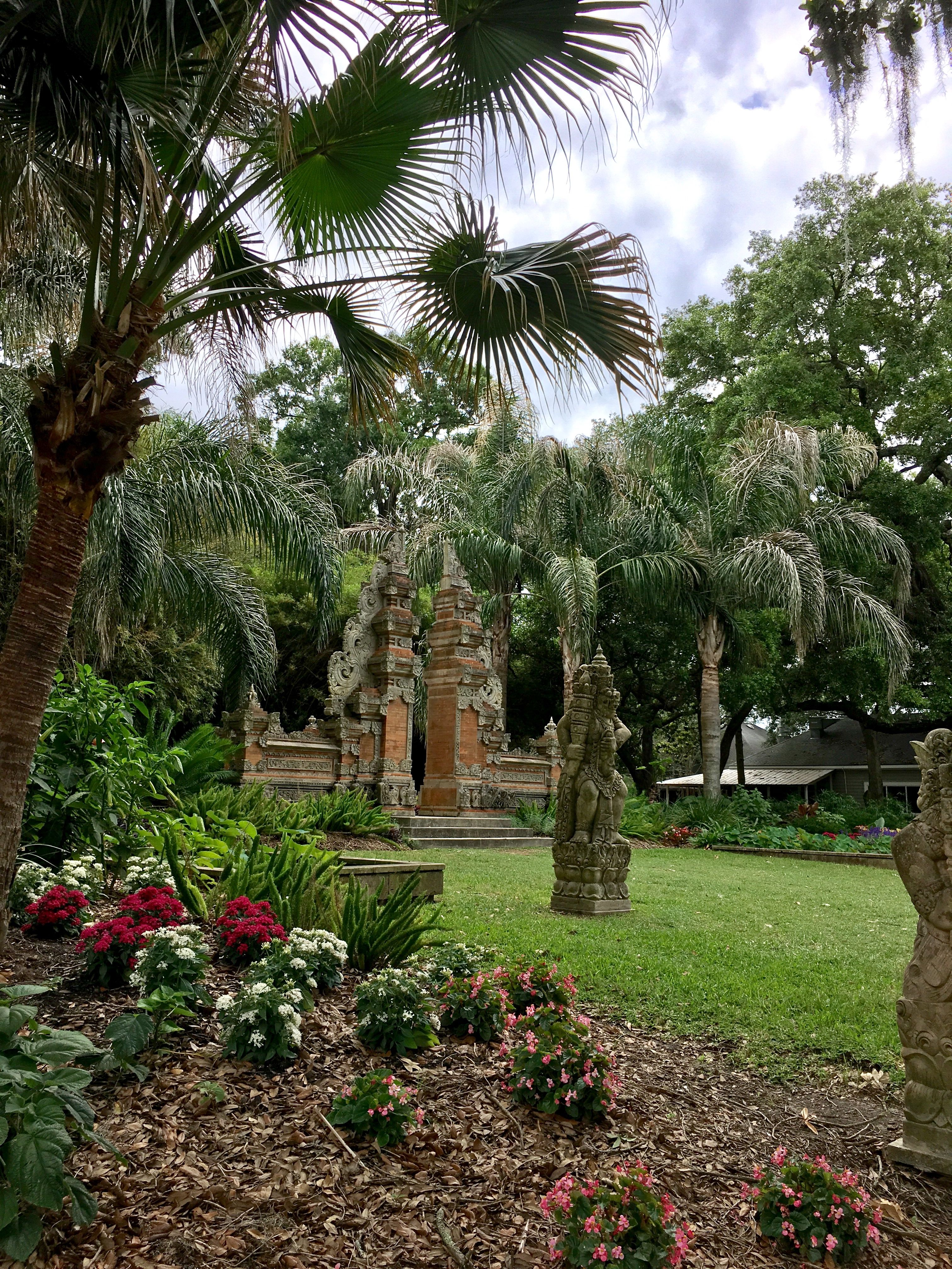 Spring Crocus Flower Background