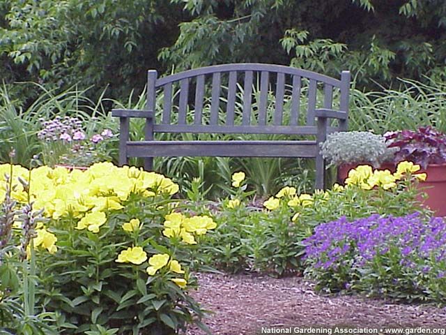 Zoom Background Images Garden