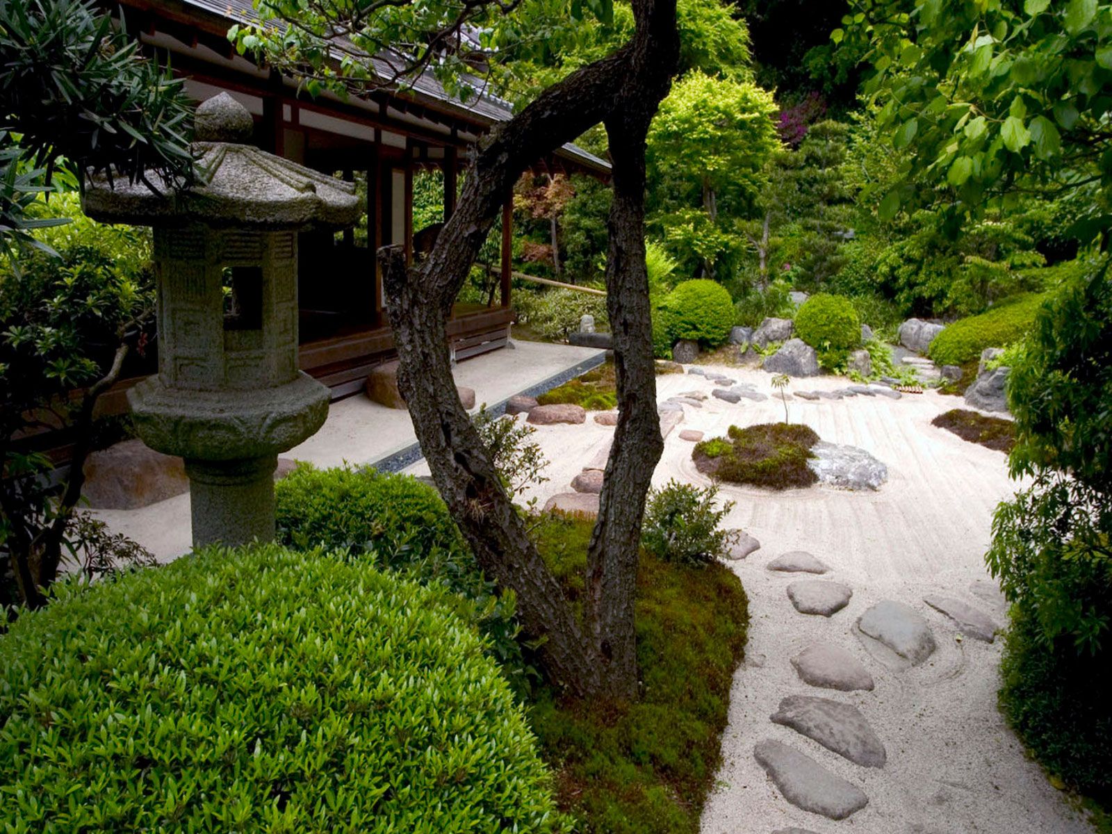Asian Garden Ideas
