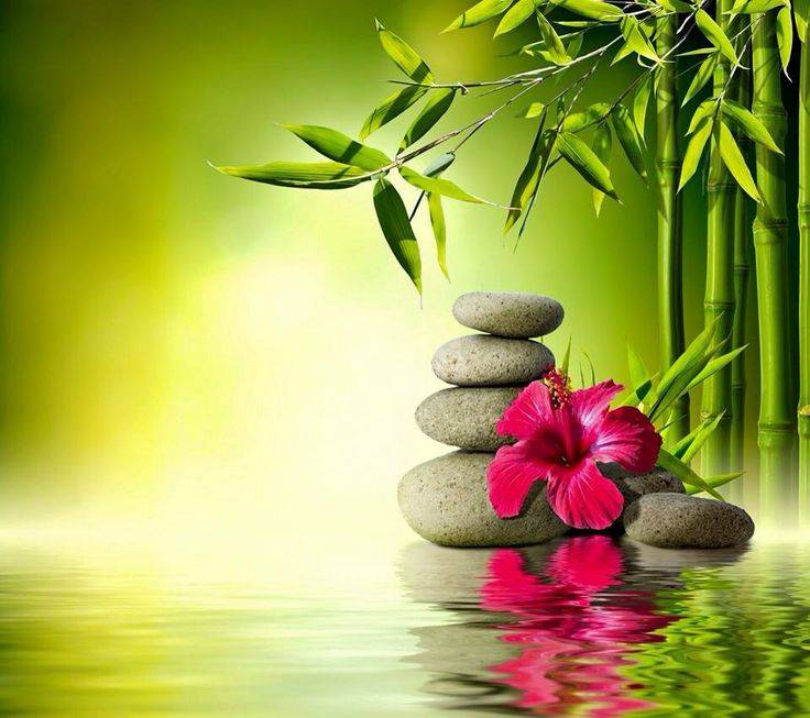 Japanese Zen Garden Wallpaper
