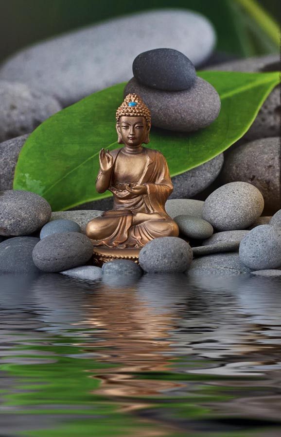 13 Zen Garden Wallpaper Dual Screen Ideas You Gonna Love | SharonSable