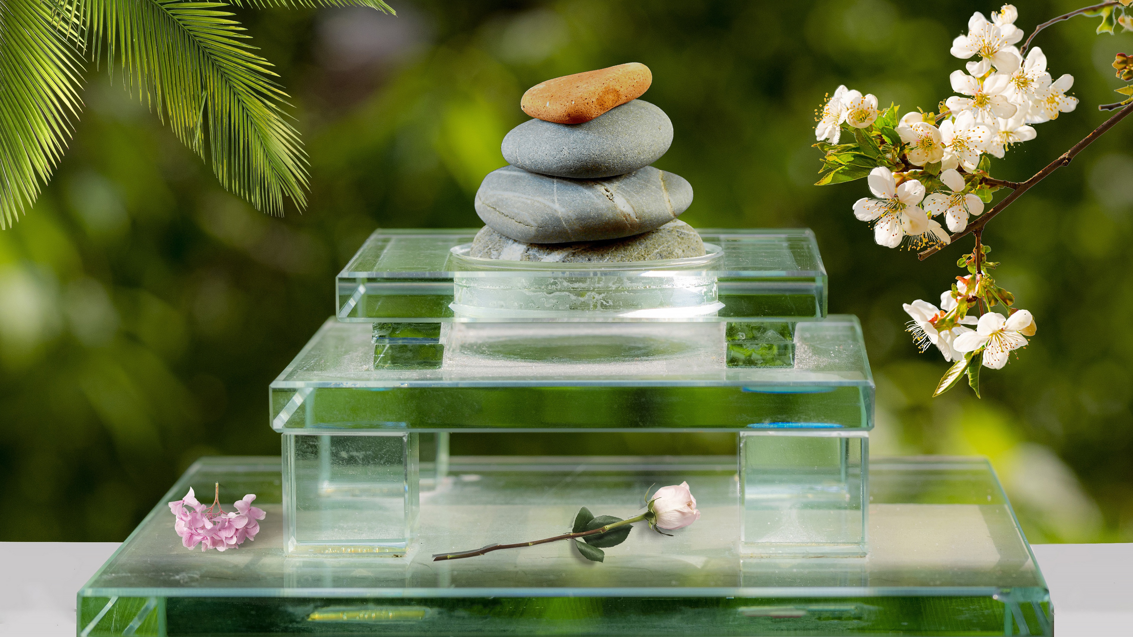 Japanese Zen Garden Wallpapers Top Free Japanese Zen Garden