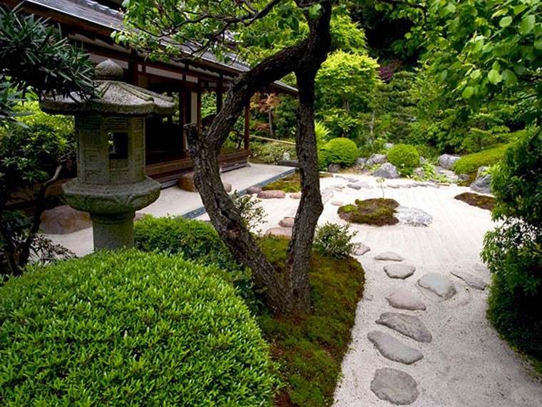 Top Free Zen