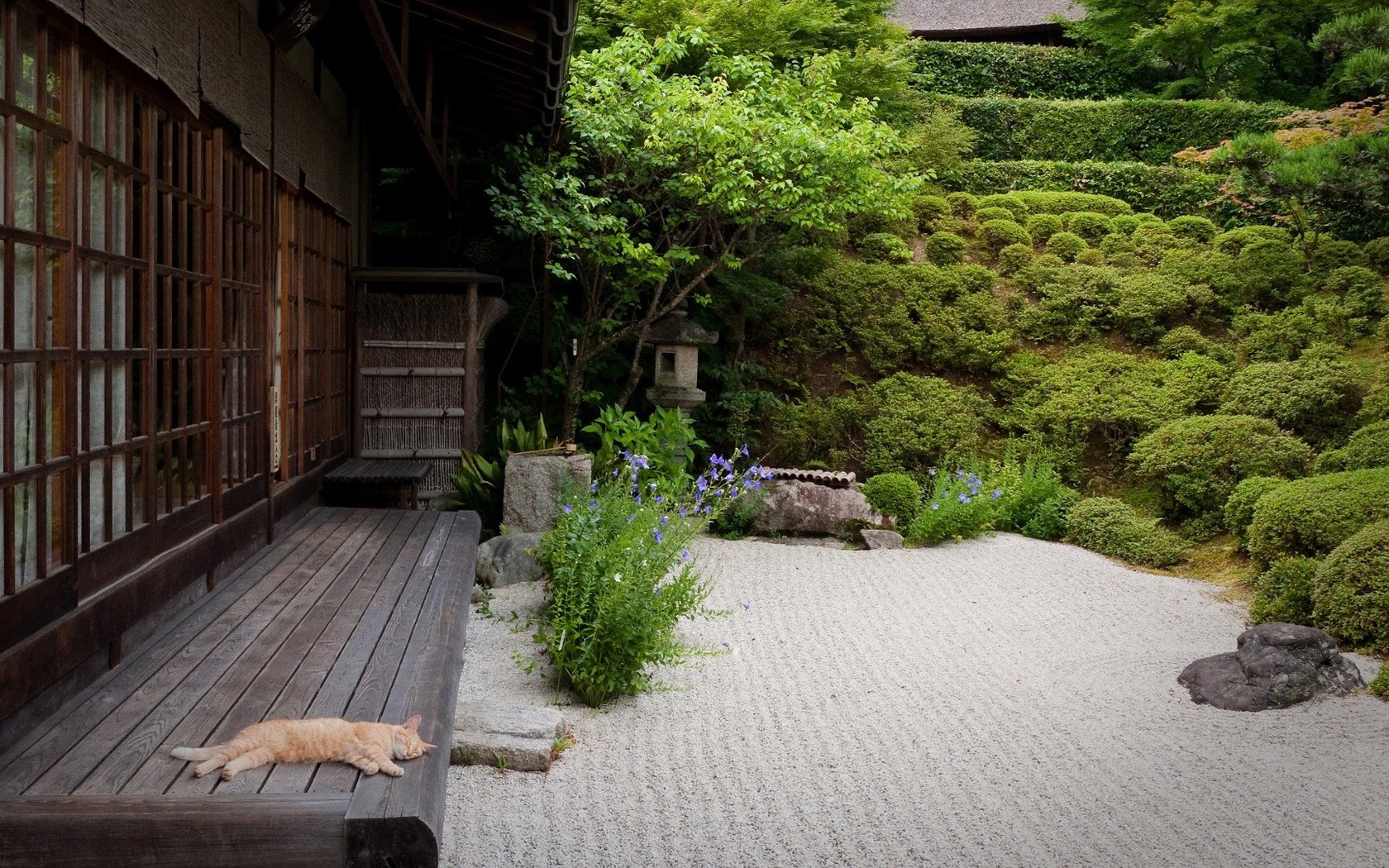 Zen Garden Wallpapers Wallpaper Cave