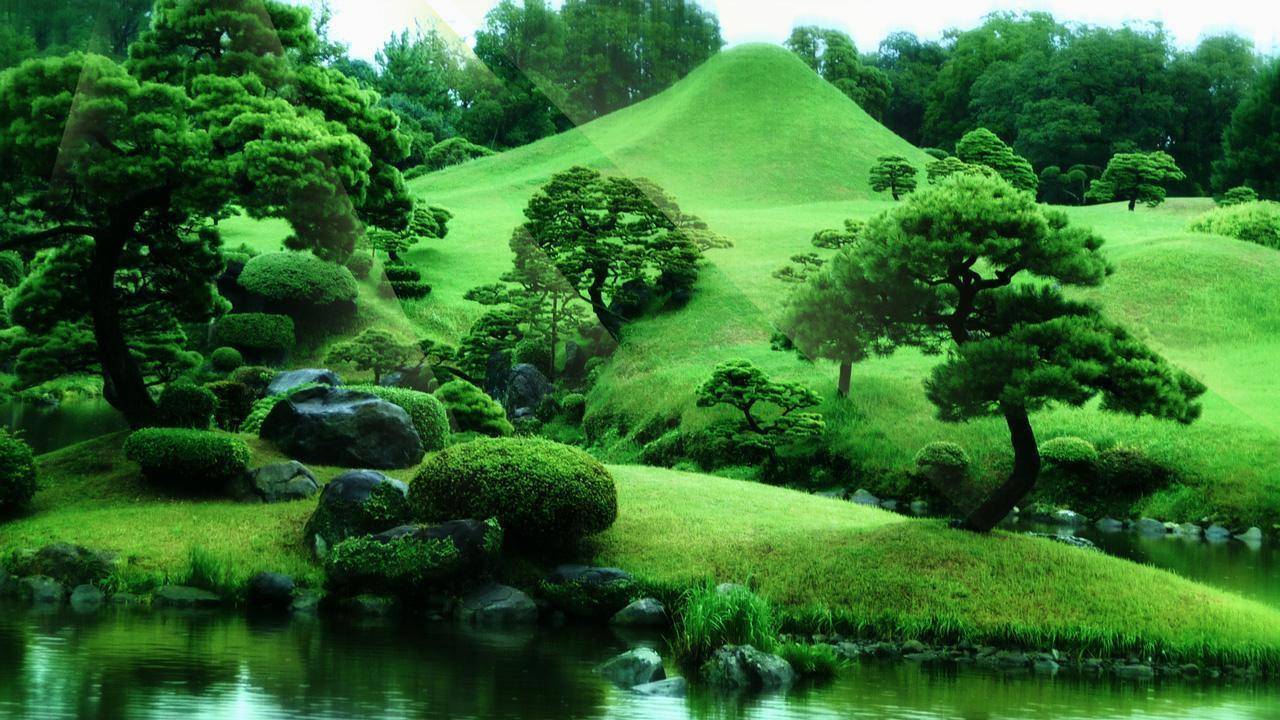Beautiful Zen Garden Design Ideas