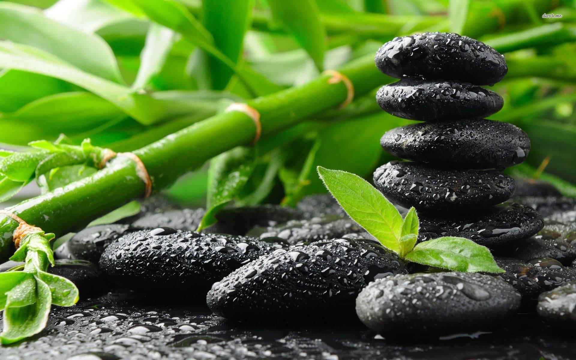 Japanese Zen Garden Wallpaper