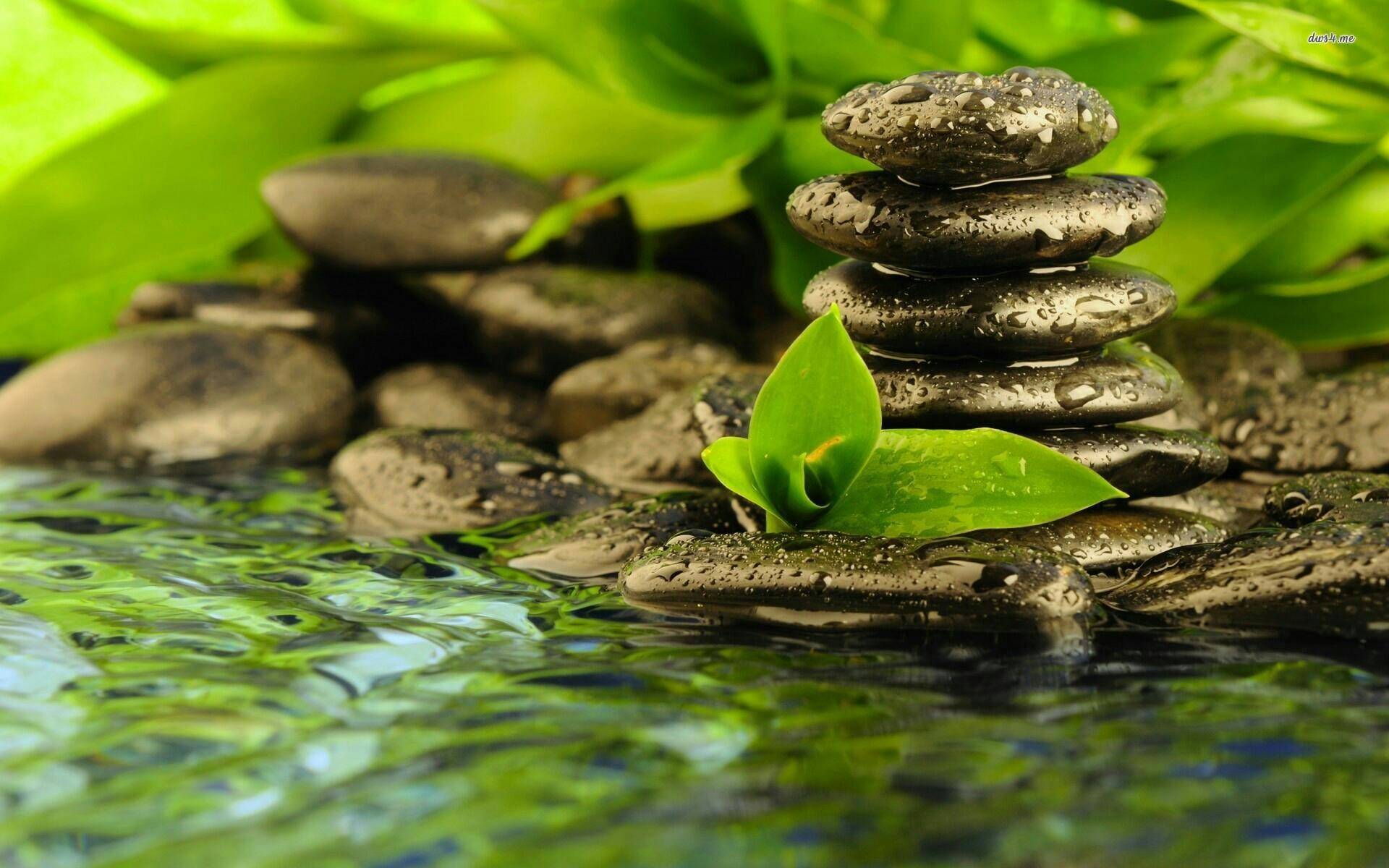 Small Japanese Garden Ideas