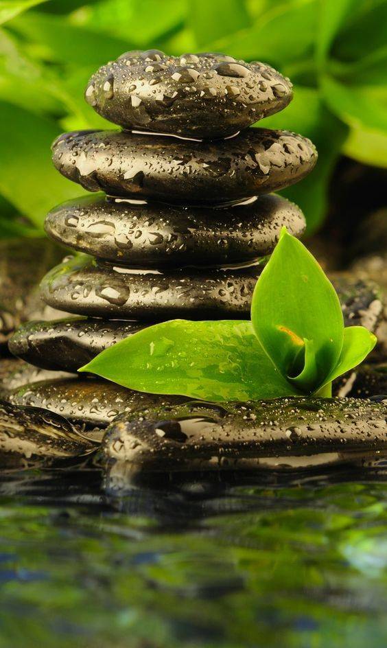 Zen Garden Desktop Jpg