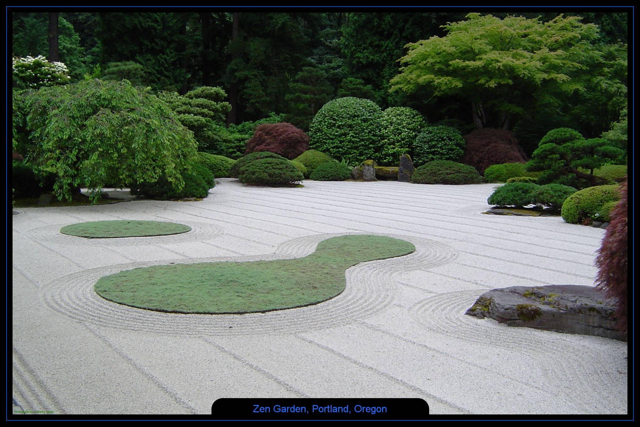 Every Wednesday Zen Garden