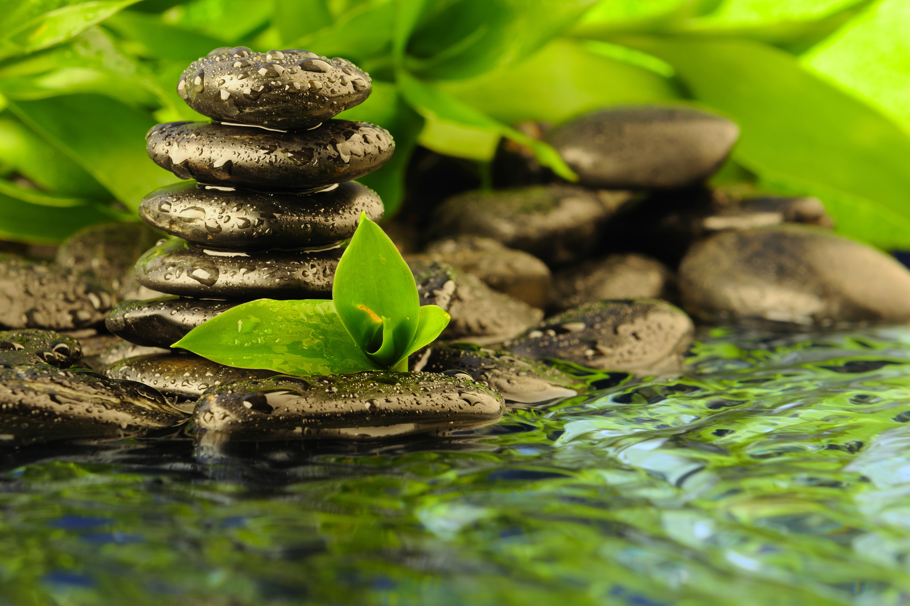 Zen Garden Wallpapers Wallpaper Cave