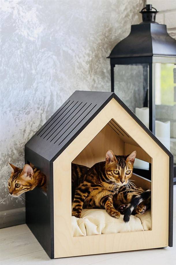 Cute Cat House Ideas Alice Clayton