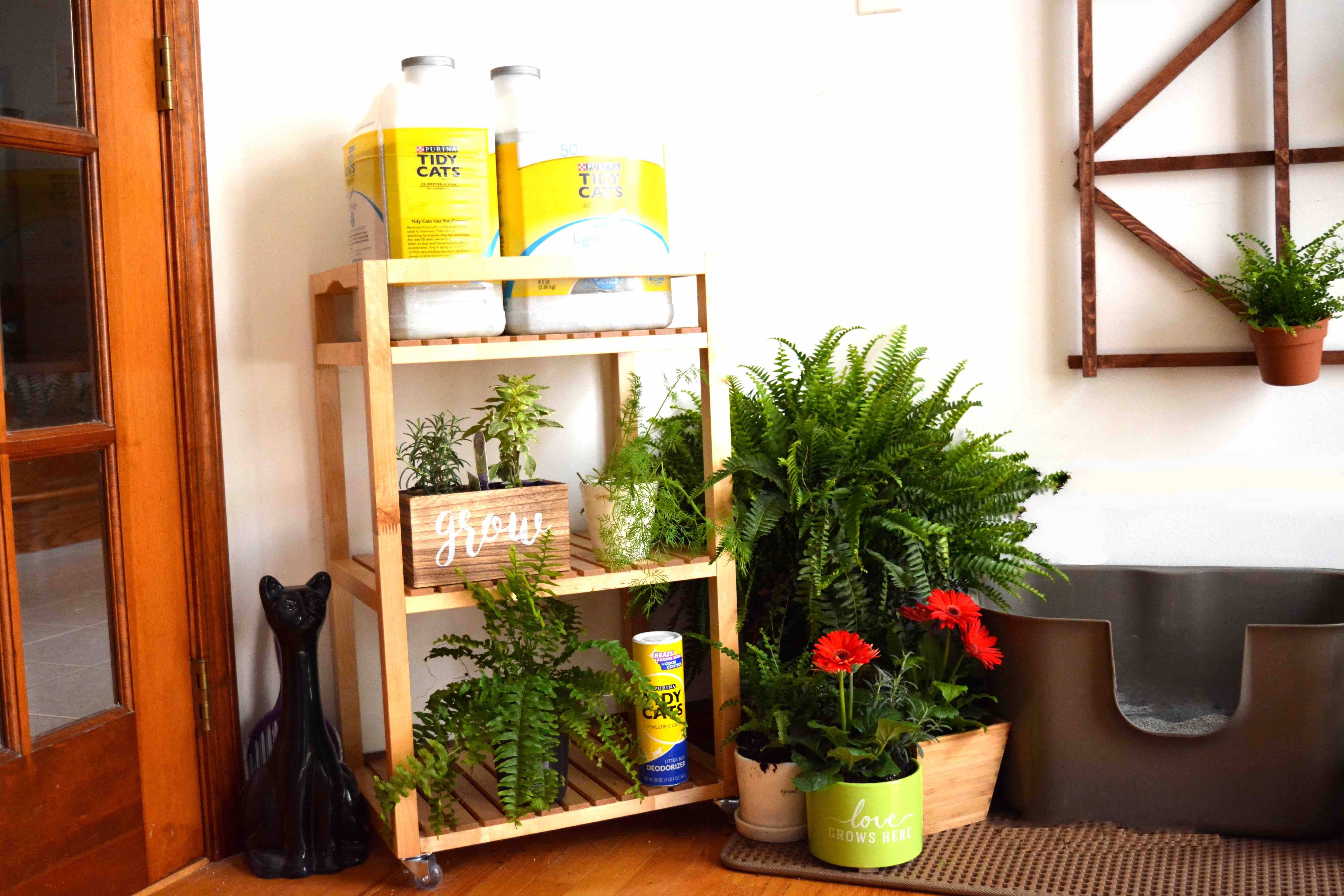 Diy Indoor Cat Garden