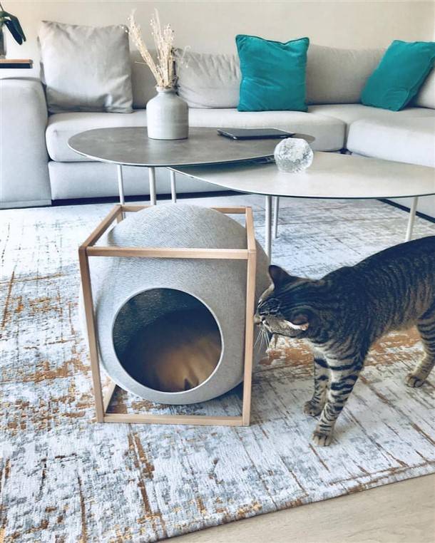 Freddy Indoor Outdoor Cat House