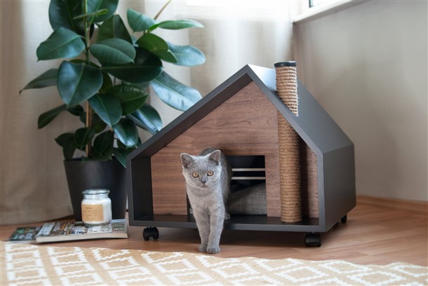 Indoor Cat House Styles