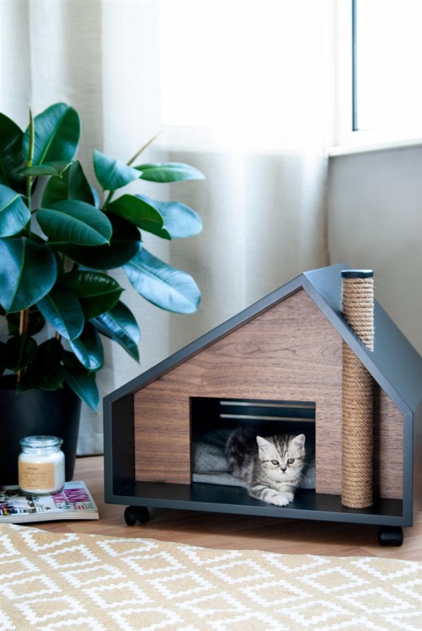 Indoor Cat House Styles