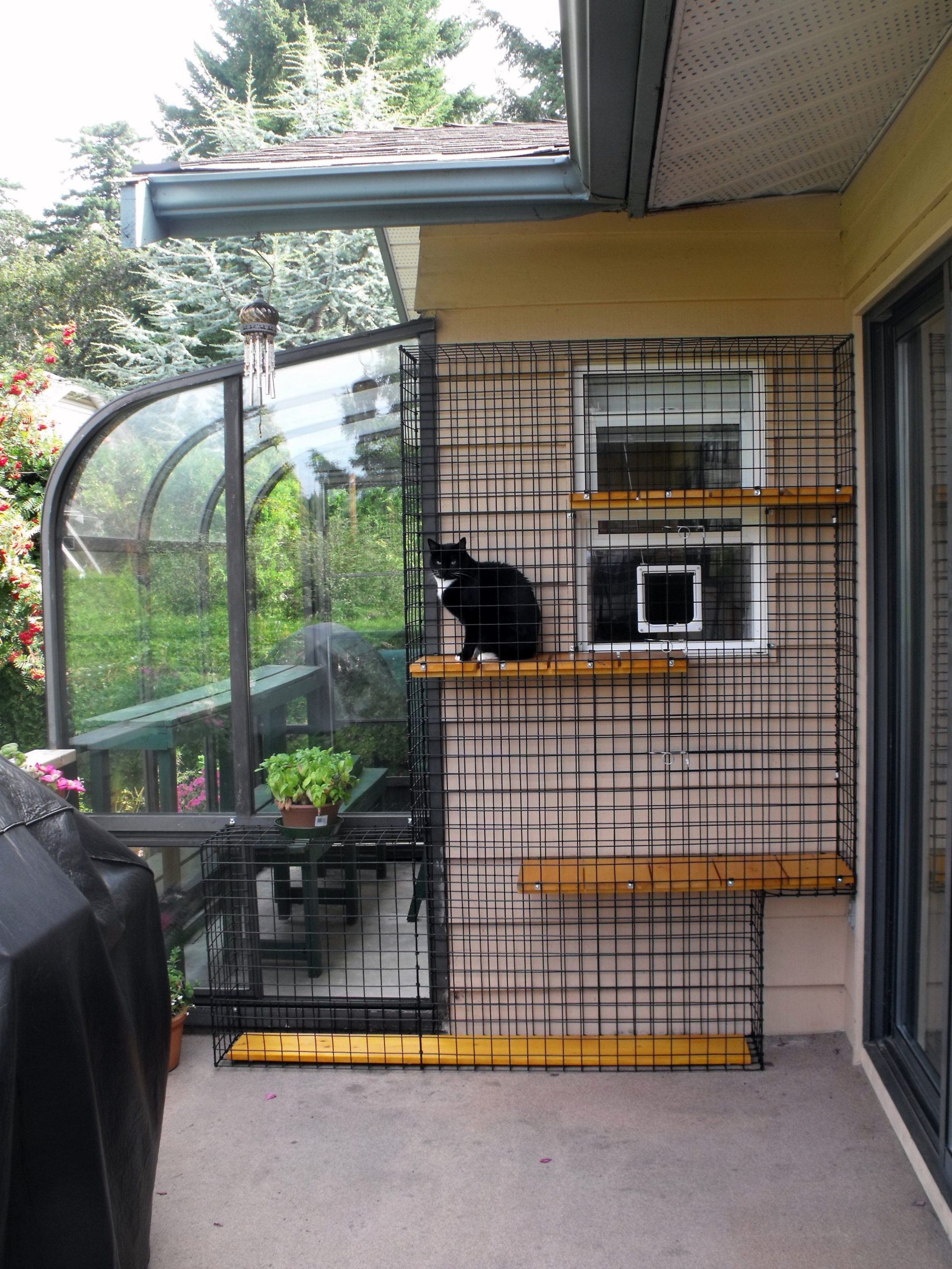 Indoor Cat House Styles