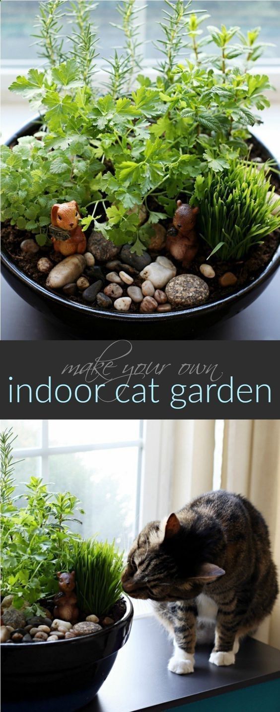 Indoor Cat House Styles