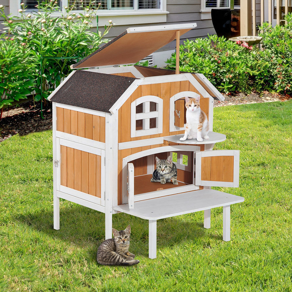Cedar Cat Tree Catsplay Superstore