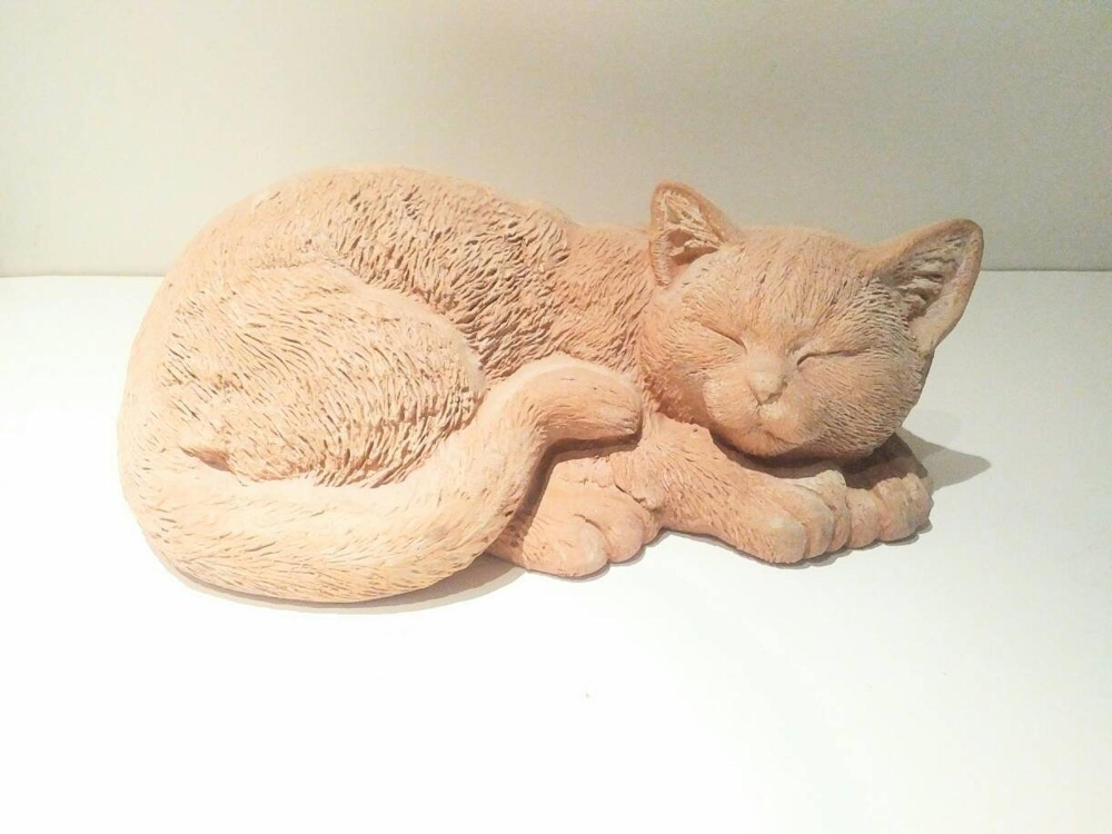 Luxen Home Napping Cat