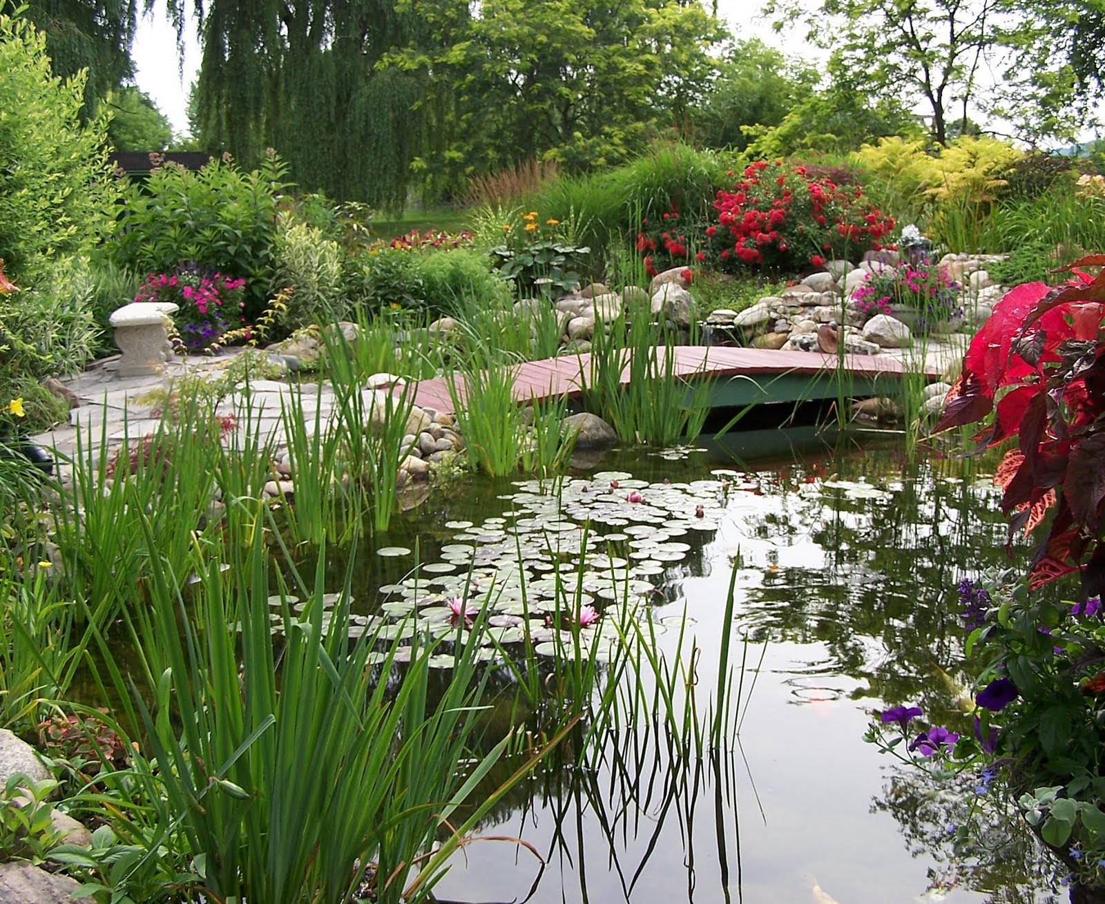 Huge New House Contemporary Patio London