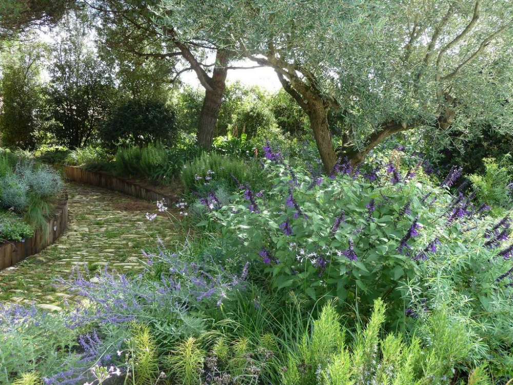 Management Plan Hamilton Gardens