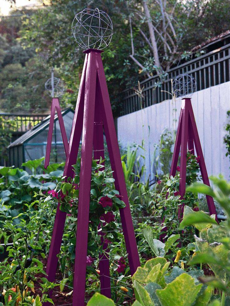 Modern Trellis