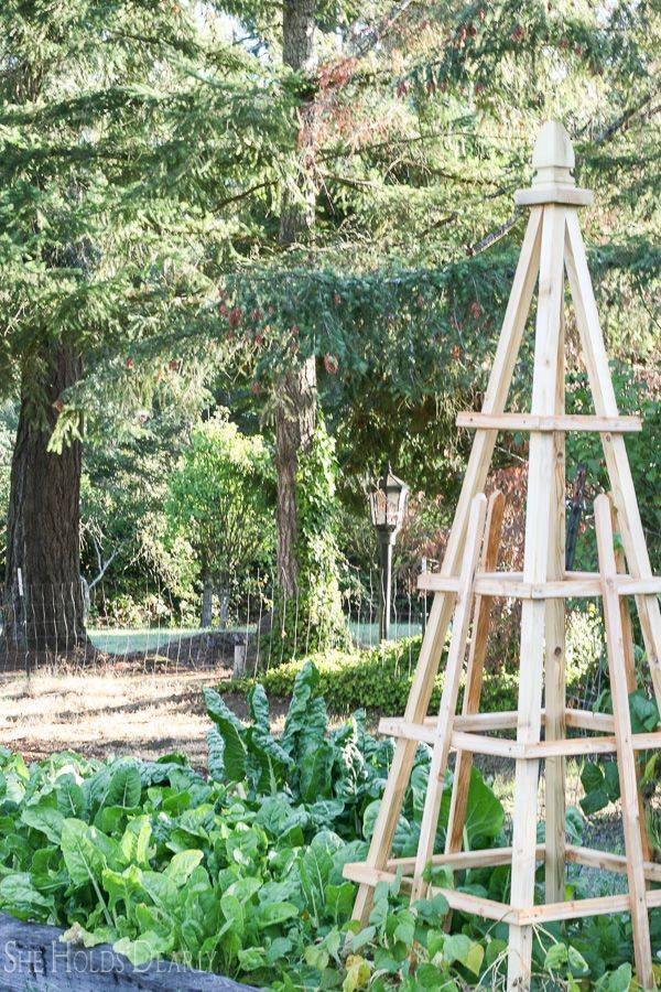 Akoris Garden Tuteur Sr Modern Garden Trellis