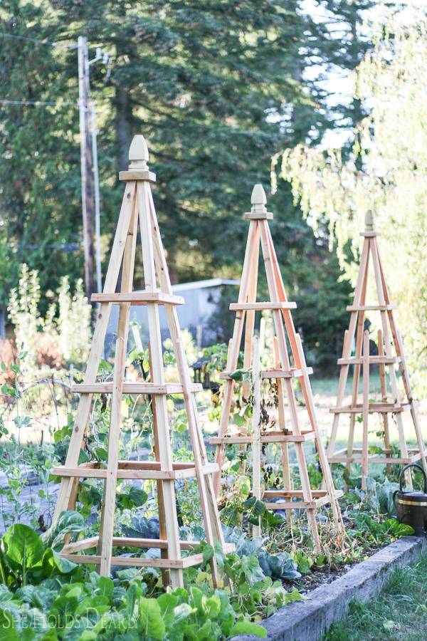 The Garden Diy Garden Projects