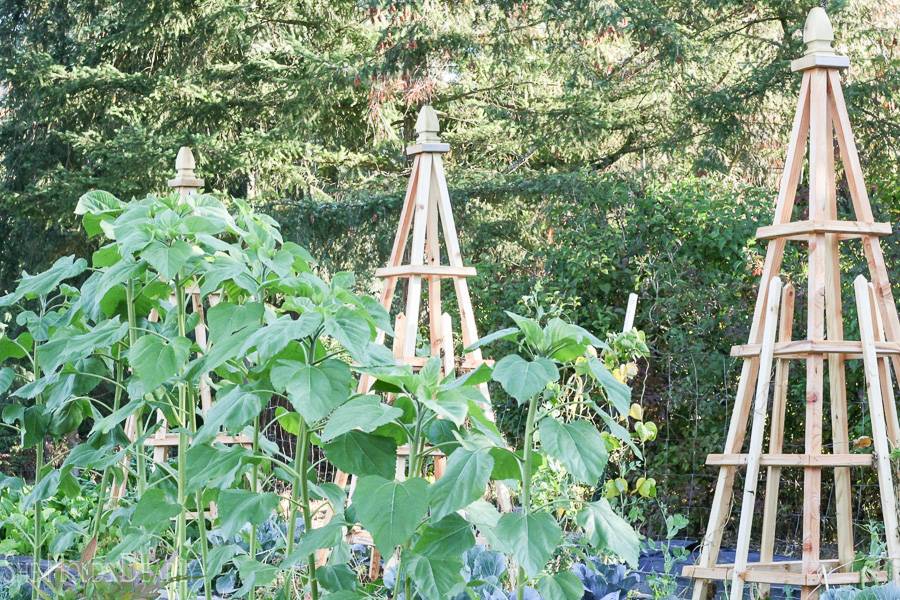 Metropolitan Folding Tuteur Garden Supports