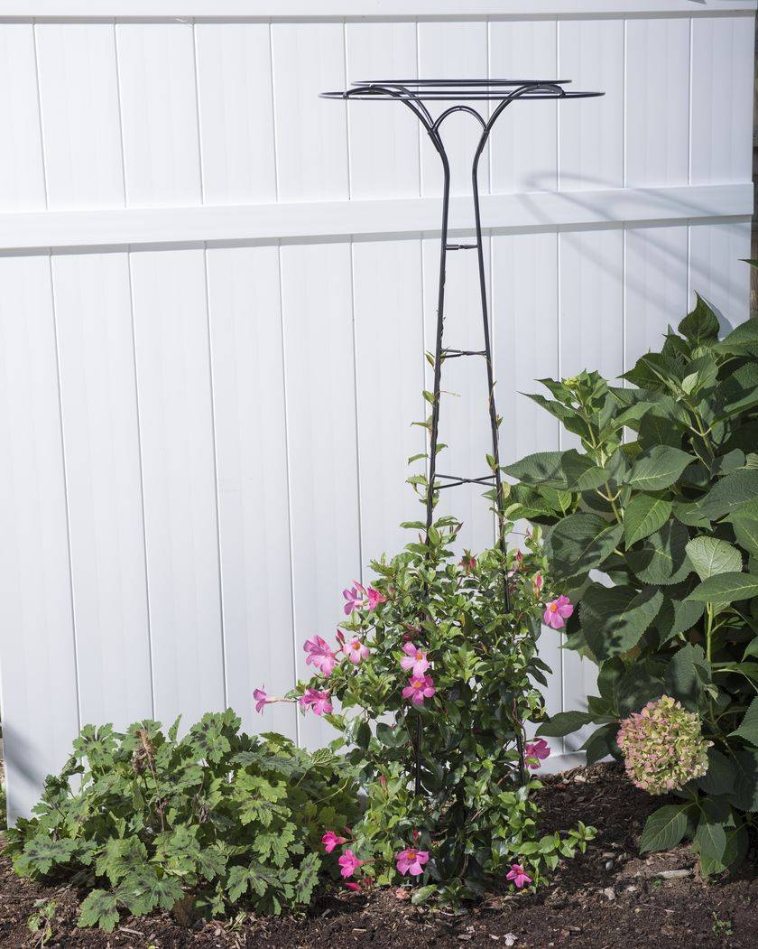 Tuteur Trellis Woodworking Projects