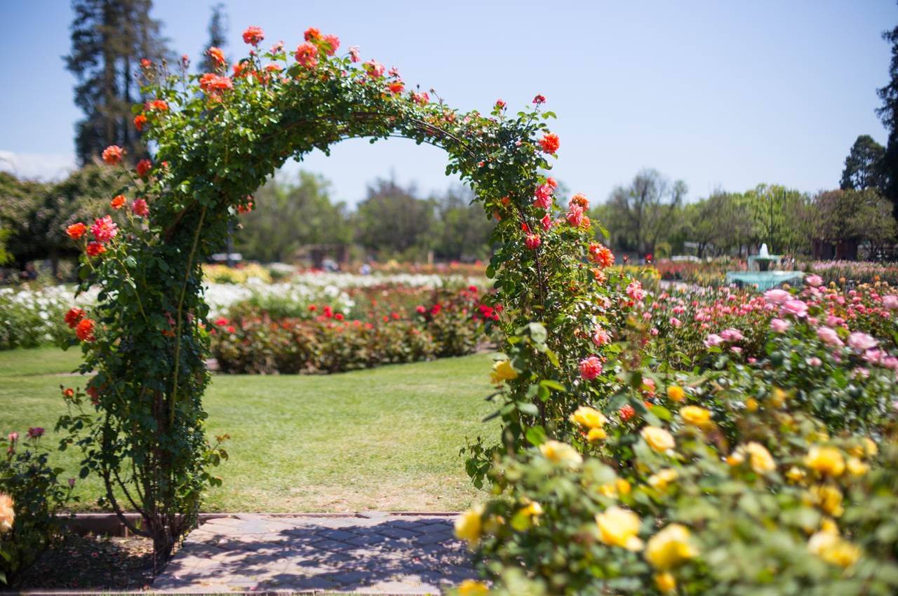 Amazing Christchurch Botanical Gardens