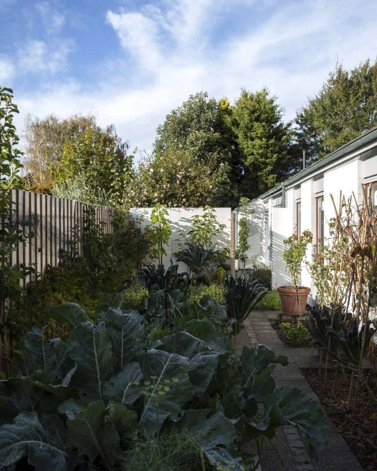 Garden Design Ideas Christchurch