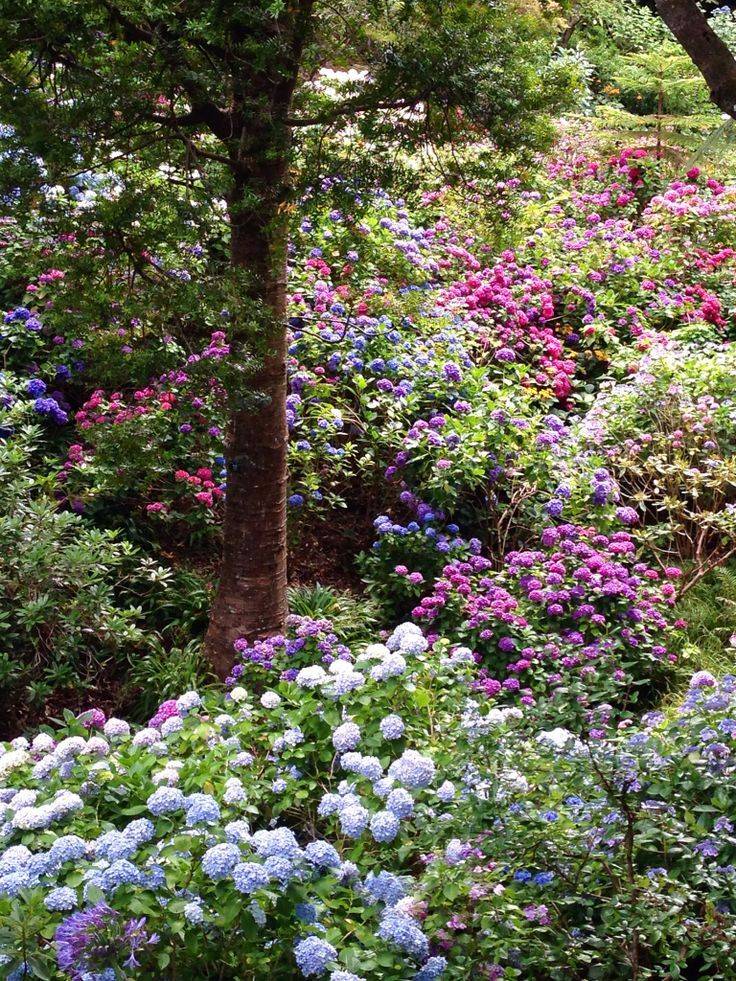 Botanical Gardens