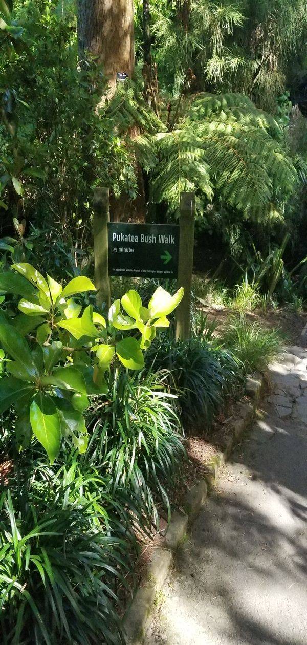 Wellington Botanical Gardens