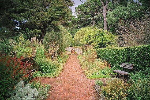 Wellington Botanical Garden