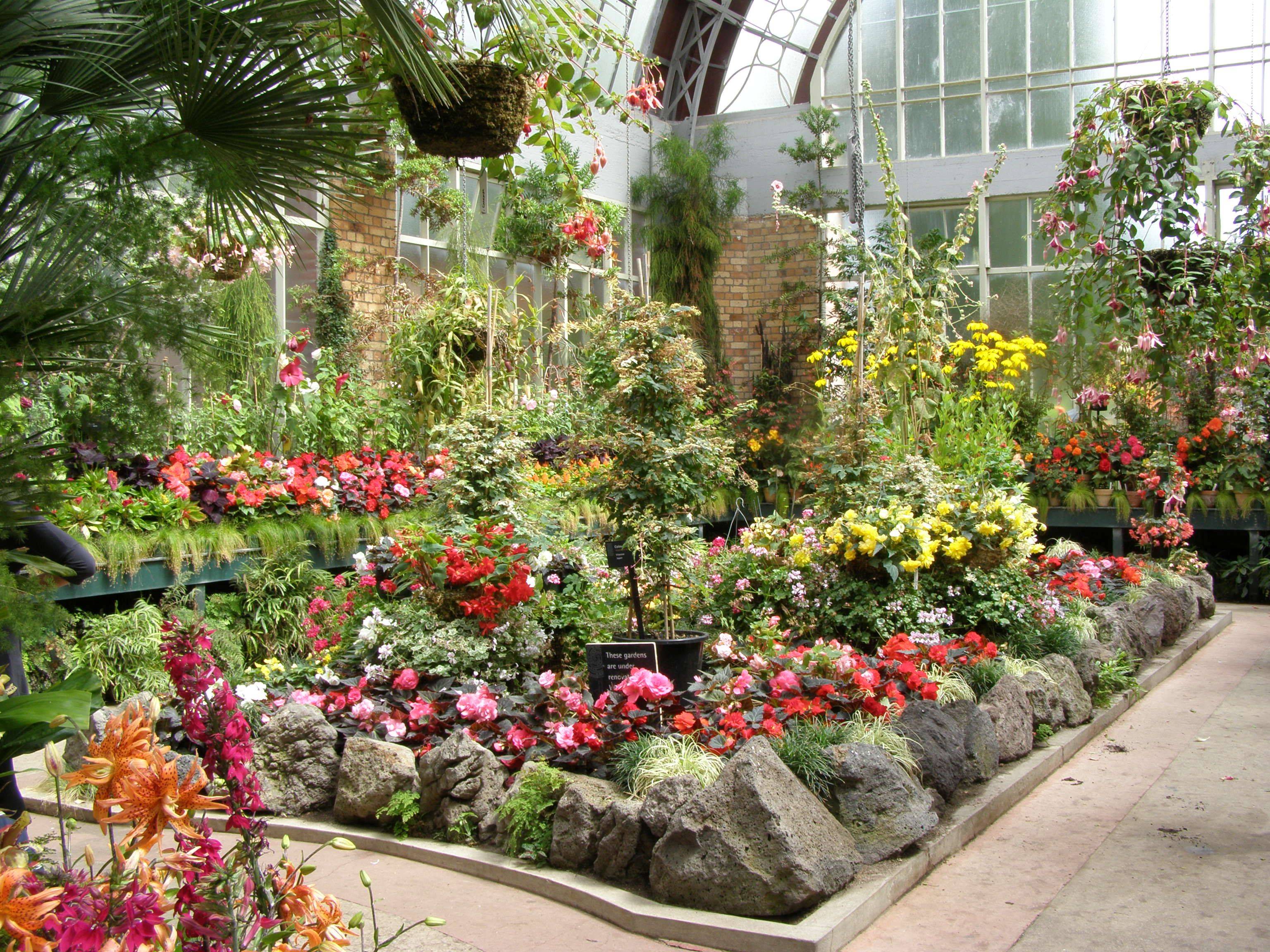 The Wellington Botanic Garden