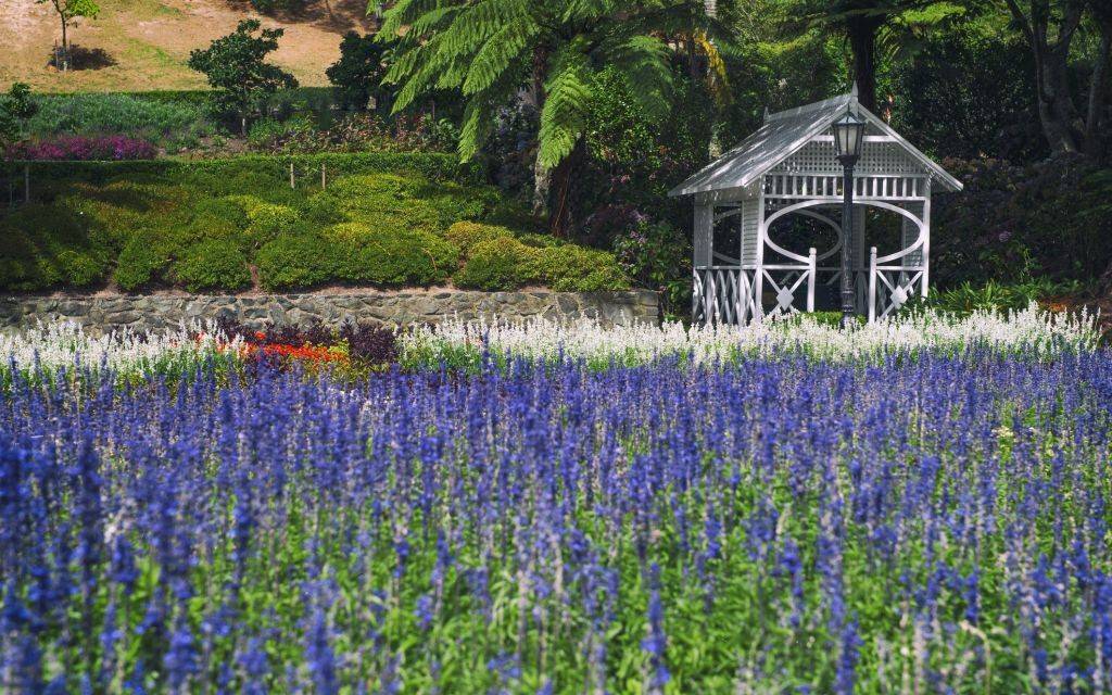 Wellington Botanical Gardens