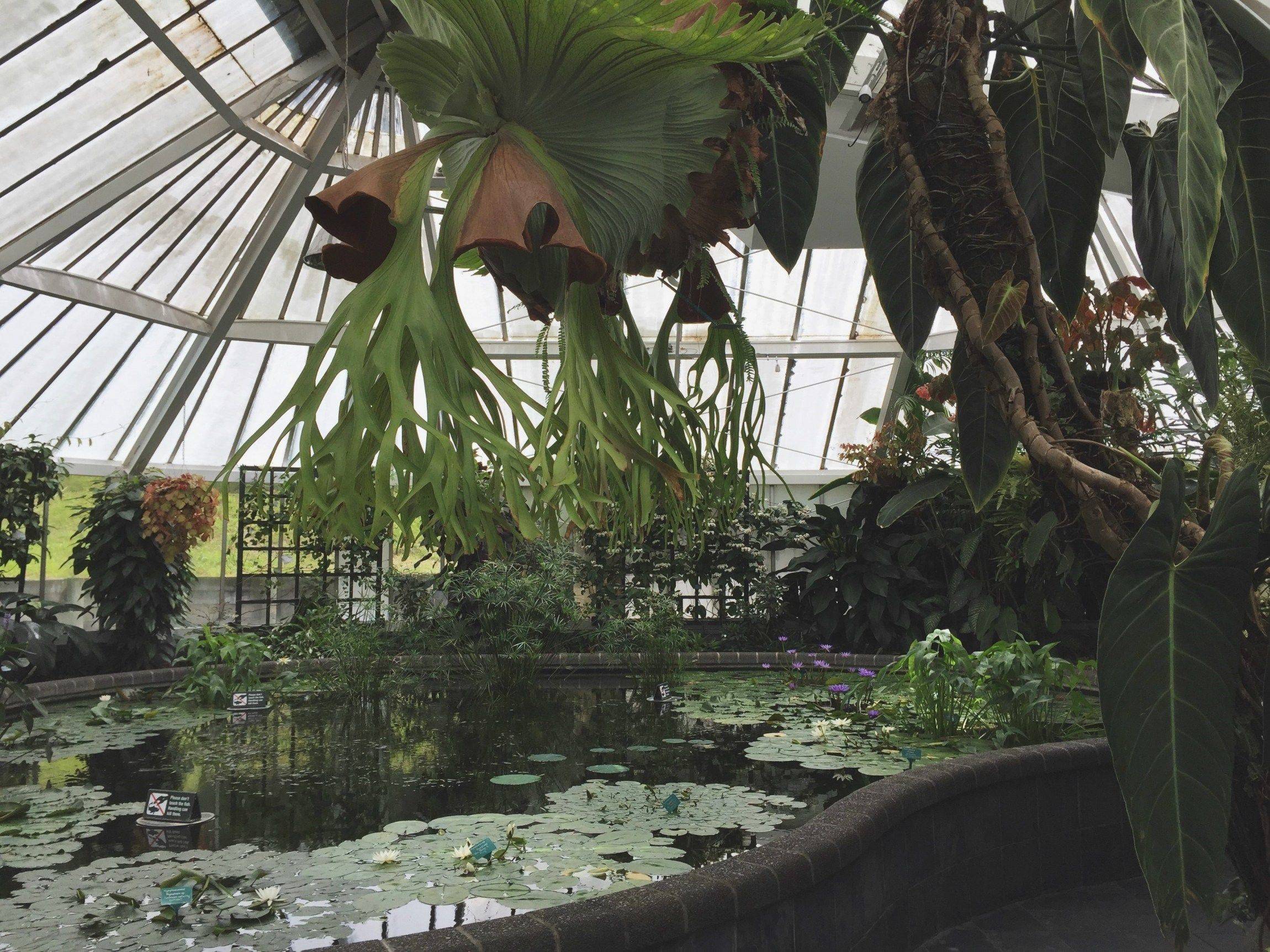 Wellington Botanic Garden