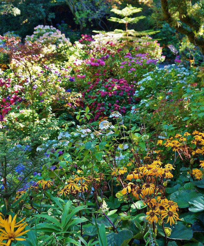 Wellington Botanical Gardens