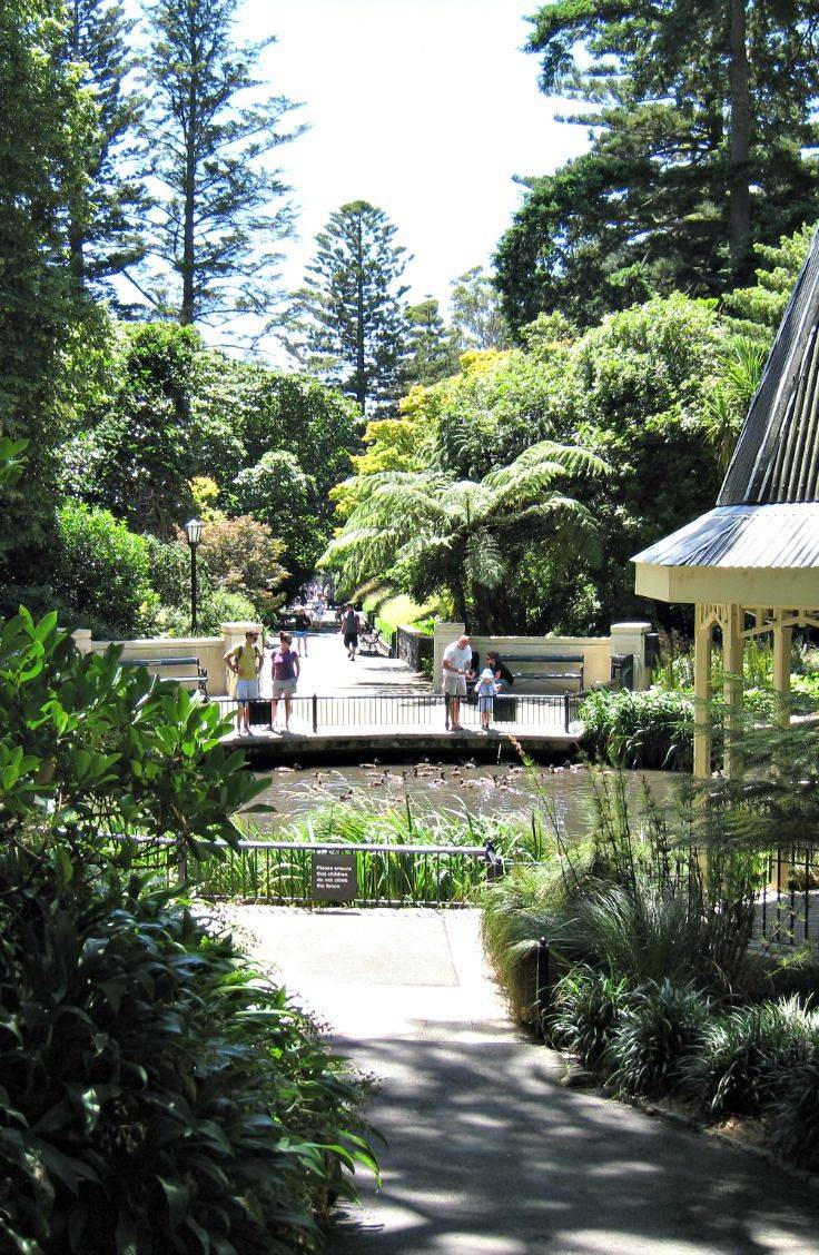 Wellington Botanic Garden Wellington Places To Travel Botanical Gardens