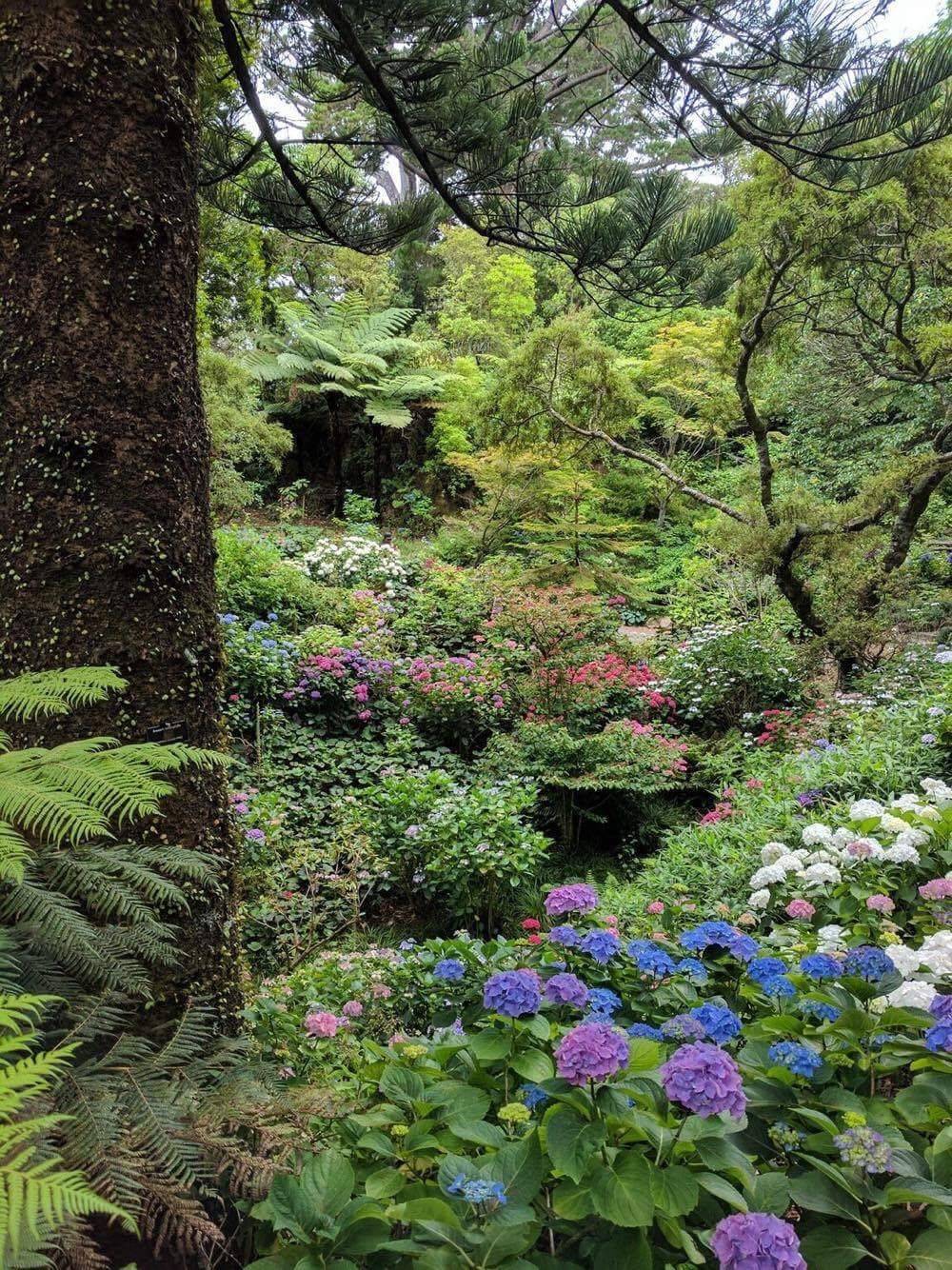 Wellington Botanical Gardens Botanical Gardens