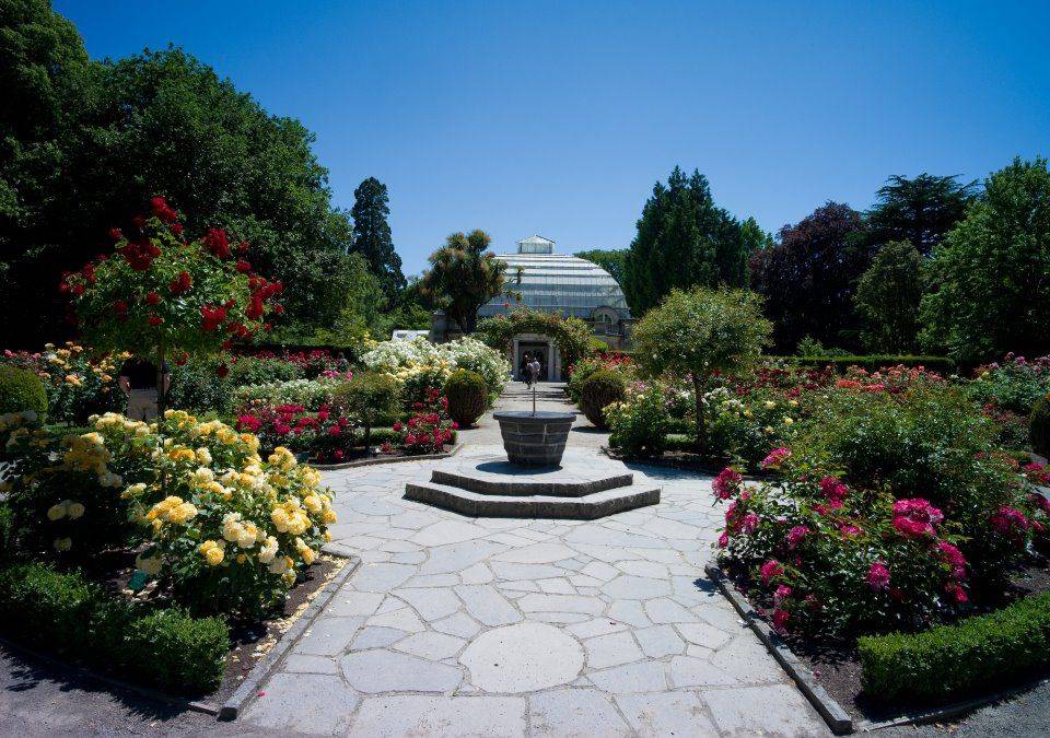 Christchurch Botanic Garden