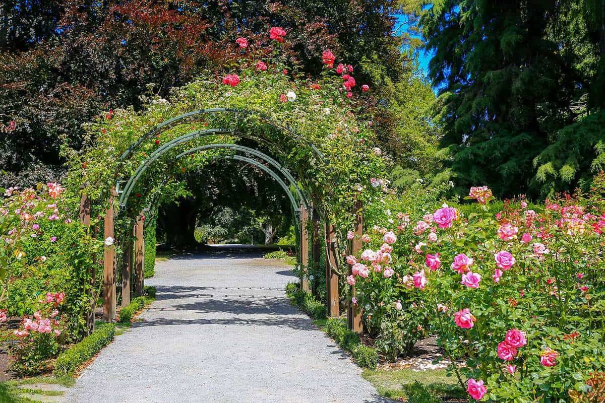 Christchurch Botanic Gardens