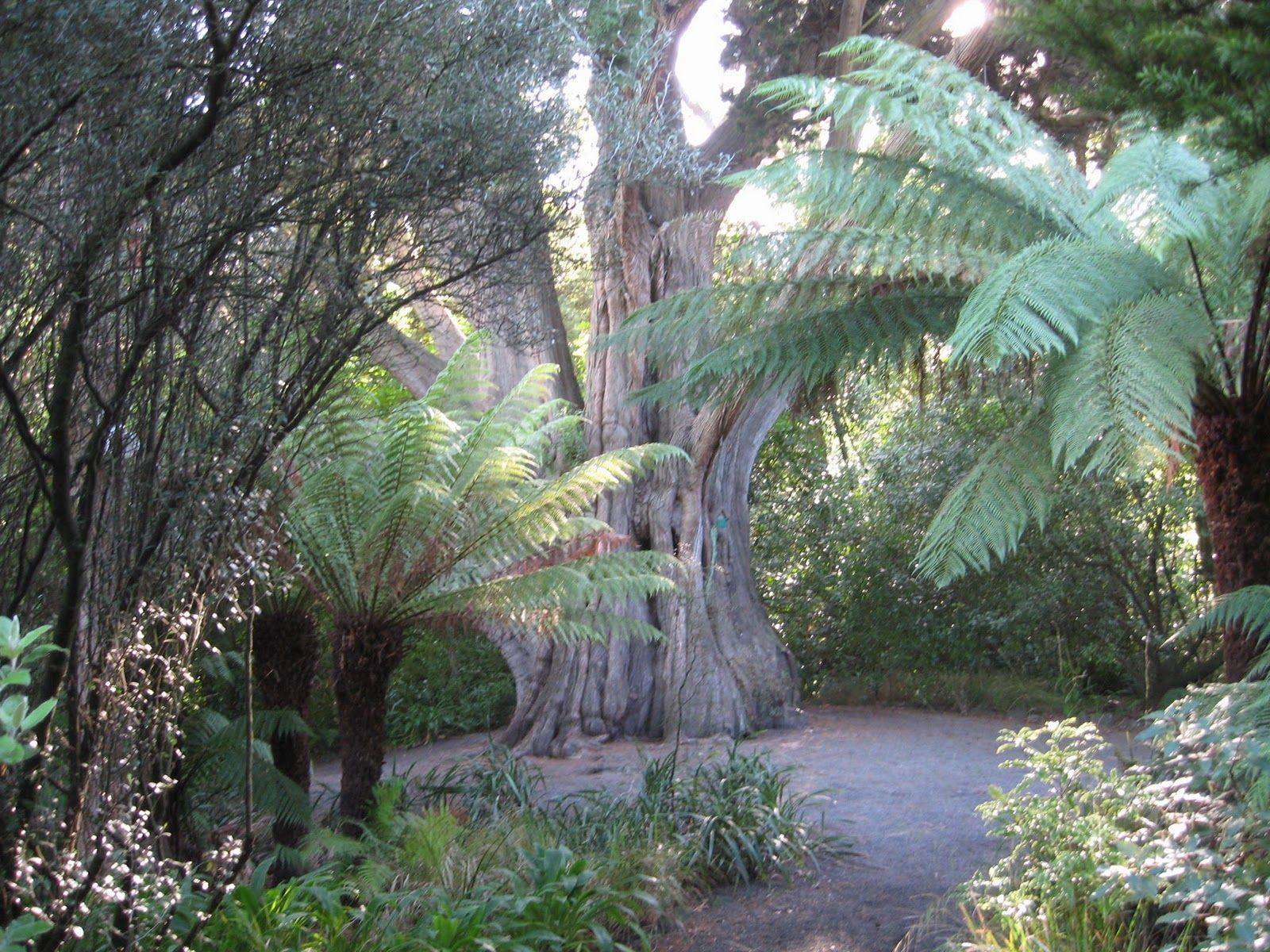 Christchurch Botanic Gardens