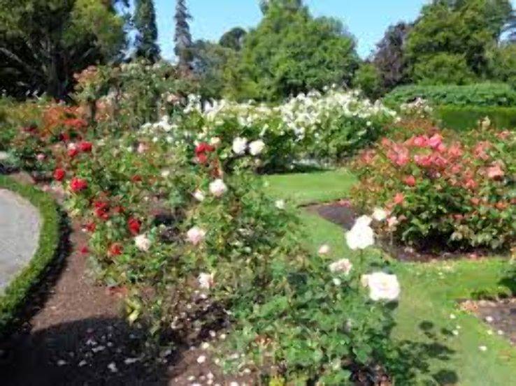 Christchurch Botanic Gardn Outdoor Gardens