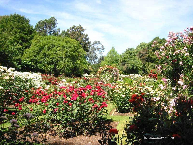 Christchurch Botanical Gardens