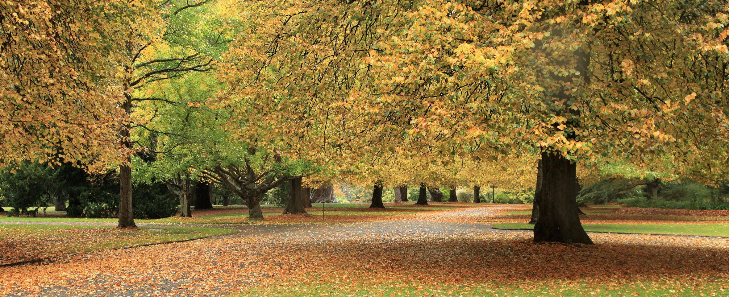 Christchurch Botanic Garden