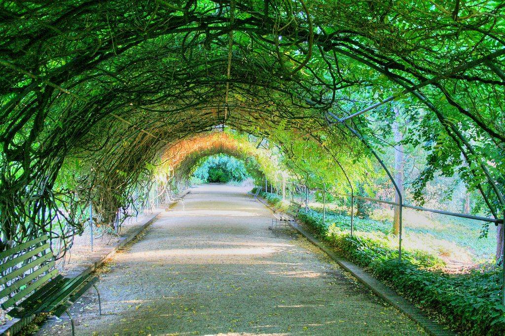 Adelaides Botanic Gardens